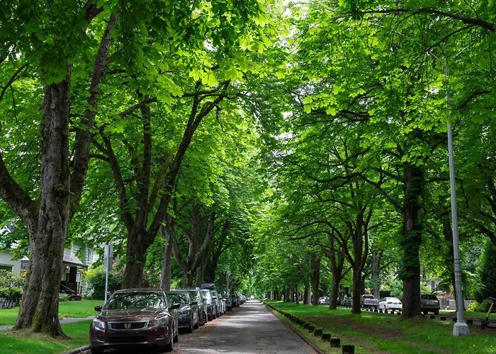 U-District Warmth 8 Mins Walk To Uw